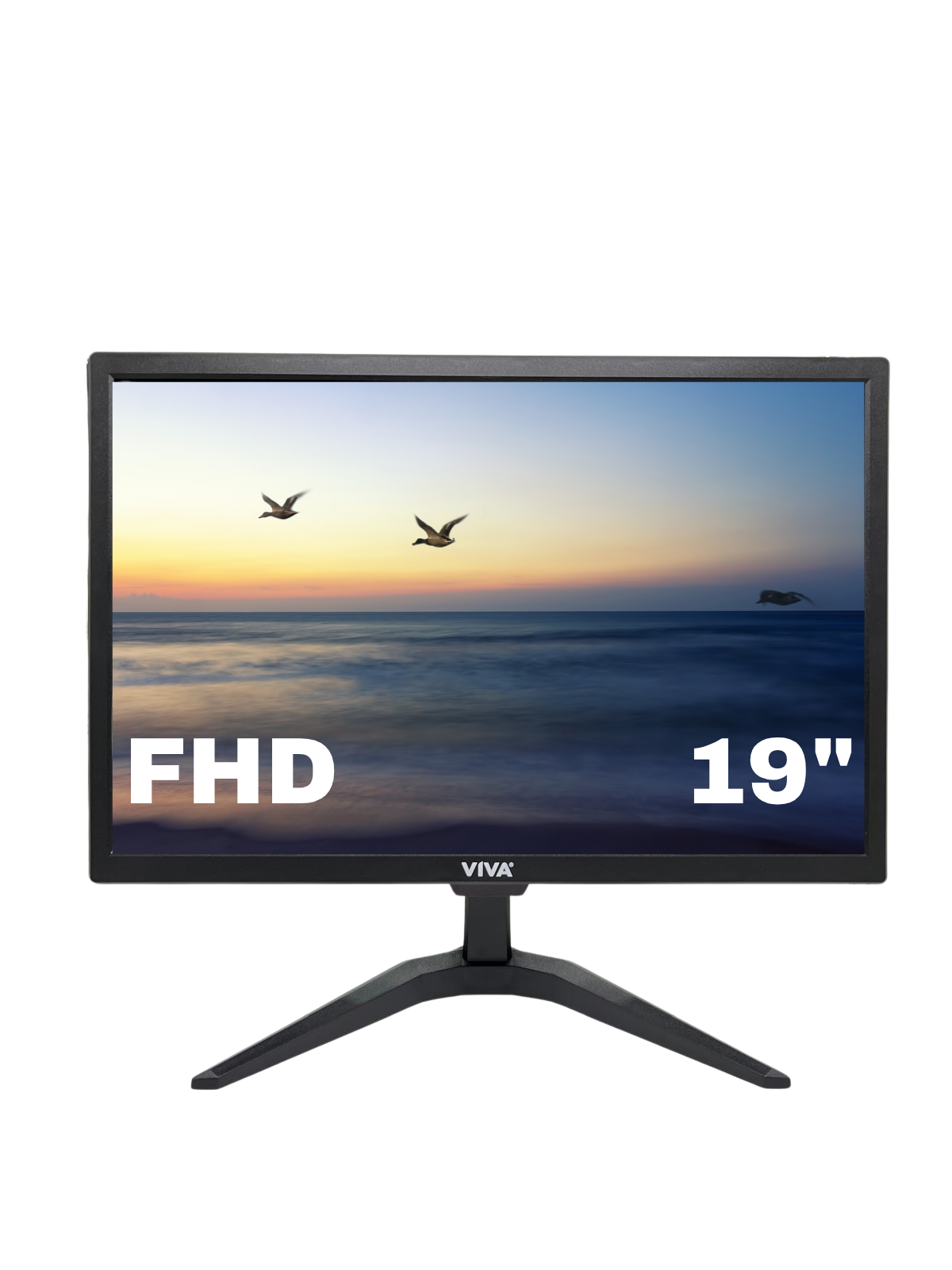 VİVA SESLİ 19'' FULL HD MONİTÖR