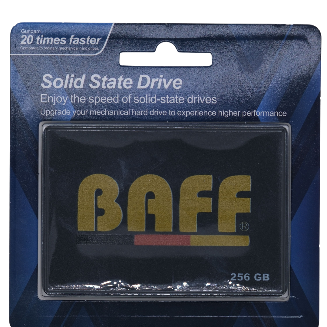 BAFF 256GB SSD